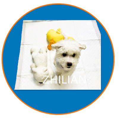 3 فاز Pet Pad Dog Pad ساخت پد گربه 350 متر / حداقل